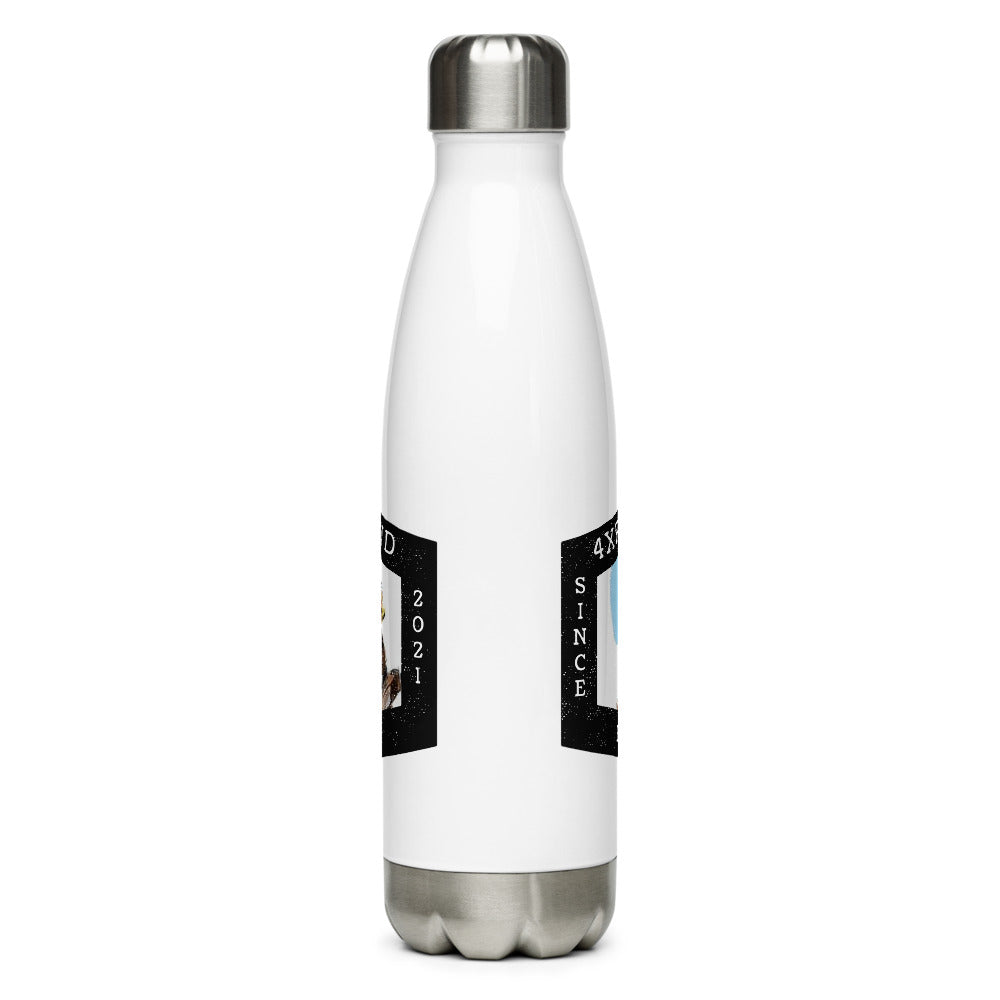 Stainless Steel Water Bottle